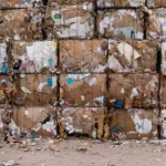 The Pros and Cons of Recycling