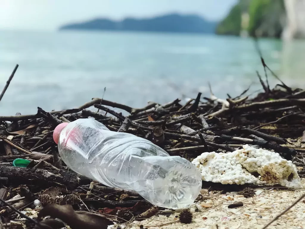 Why is plastic bad for the environment