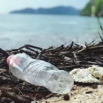 Why is plastic bad for the environment